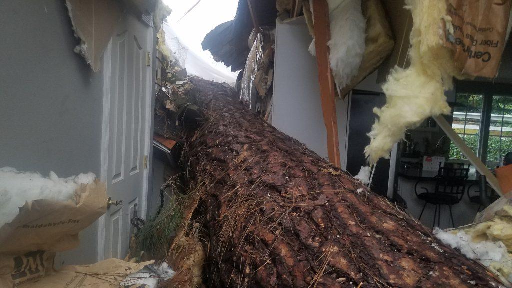 residential disaster repair